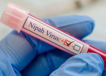 നിപ സ്ഥിരീകരിച്ച മലപ്പുറം വളാഞ്ചേരി സ്വദേശിനിയുടെ സമ്പർക്ക പട്ടികയിൽ 58 പേർ