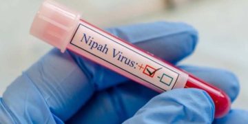 നിപ സ്ഥിരീകരിച്ച മലപ്പുറം വളാഞ്ചേരി സ്വദേശിനിയുടെ സമ്പർക്ക പട്ടികയിൽ 58 പേർ