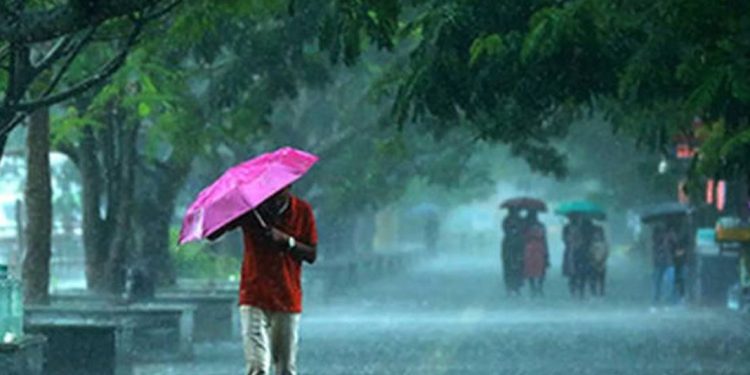 കേരളത്തിൽ അടുത്ത അഞ്ചുദിവസം കൂടി മഴ തുടരും ; കേന്ദ്ര കാലാവസ്ഥ വകുപ്പ്