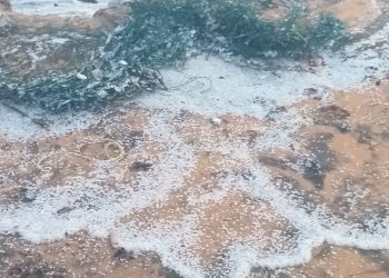 ശംഖുമുഖം കടപ്പുറത്ത് പ്ലാസ്റ്റിക് ഗ്രാനൂൾസ് അടിഞ്ഞു കൂടി