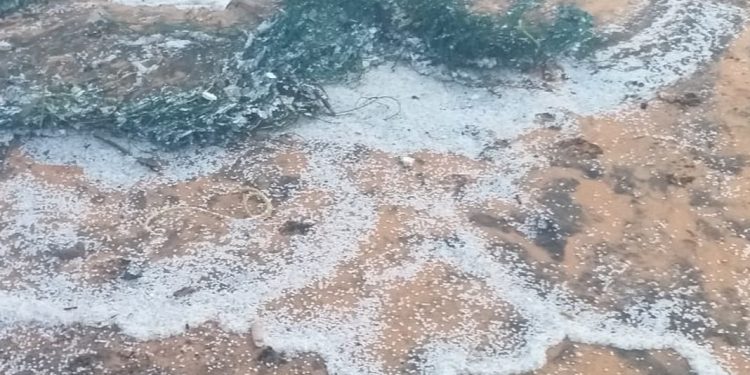 ശംഖുമുഖം കടപ്പുറത്ത് പ്ലാസ്റ്റിക് ഗ്രാനൂൾസ് അടിഞ്ഞു കൂടി