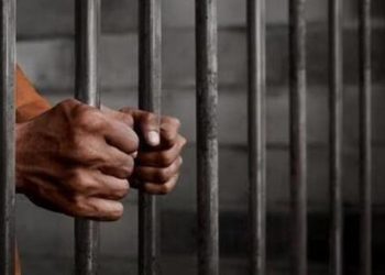 ജയിൽ ചാടി വീട്ടിലെത്തിയ മകനെ തിരികെ കൊണ്ടുവിട്ട് അമ്മ