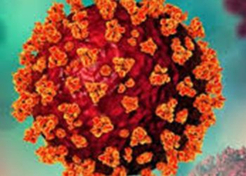 കൊവിഡ് വ്യാപനം : കേരളത്തിൽ 1952 ആക്ടിവ് കേസുകളെന്ന് മന്ത്രി വീണാ ജോർജ്