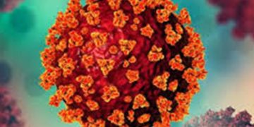 കൊവിഡ് വ്യാപനം : കേരളത്തിൽ 1952 ആക്ടിവ് കേസുകളെന്ന് മന്ത്രി വീണാ ജോർജ്