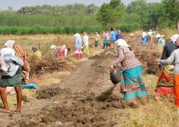 തൊഴിലുറപ്പ് പദ്ധതിയിലെ ക്രമക്കേടില് സംസ്ഥാന വ്യാപക ഓഡിറ്റിന് നിര്ദേശം നല്കി കേന്ദ്ര ഗ്രാമവികസന മന്ത്രാലയം