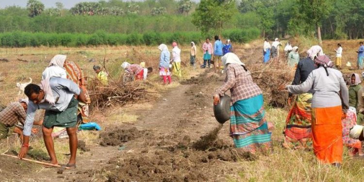 തൊഴിലുറപ്പ് പദ്ധതിയിലെ ക്രമക്കേടില് സംസ്ഥാന വ്യാപക ഓഡിറ്റിന് നിര്ദേശം നല്കി കേന്ദ്ര ഗ്രാമവികസന മന്ത്രാലയം