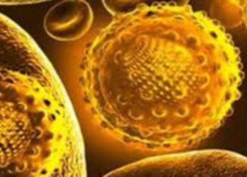 മൂ​വാ​റ്റു​പു​ഴയിൽ വി​വാ​ഹ സ​ൽ​ക്കാ​ര​ത്തി​ൽ പ​ങ്കെ​ടു​ത്ത 150ഓ​ളം പേ​ർ​ക്ക് മ​ഞ്ഞ​പ്പി​ത്തം