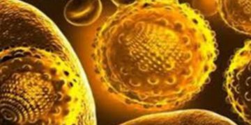 മൂ​വാ​റ്റു​പു​ഴയിൽ വി​വാ​ഹ സ​ൽ​ക്കാ​ര​ത്തി​ൽ പ​ങ്കെ​ടു​ത്ത 150ഓ​ളം പേ​ർ​ക്ക് മ​ഞ്ഞ​പ്പി​ത്തം