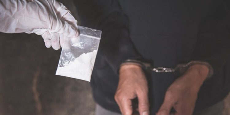 കൊല്ലം കരുനാഗപ്പള്ളിയിൽ വൻ മയക്കുമരുന്ന് വേട്ട