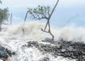 ഉപ്പള പെരിങ്കടിയിൽ രൂക്ഷമായ കടലാക്രമണം ; അഞ്ച് വൈദ്യുതി തൂൺ കടലെടുത്തു