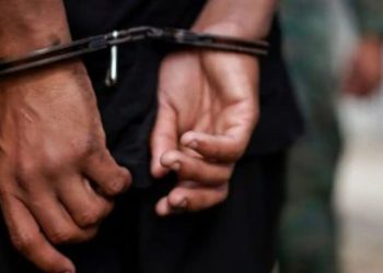 അസഭ്യം പറഞ്ഞതിൽ മനംനൊന്ത് വിദ്യാർത്ഥി മരിച്ച സംഭവത്തിൽ അയൽക്കാരി അറസ്റ്റിൽ