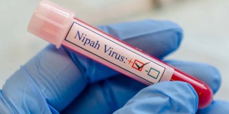 നിപ ; കോഴിക്കോട്, മലപ്പുറം, പാലക്കാട് ജില്ലകളില്‍ ജാഗ്രതാ നിര്‍ദേശം നല്‍കിയതായി മന്ത്രി വീണാ ജോര്‍ജ്