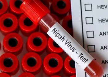 പെരിന്തൽമണ്ണയിലെ 15കാരിക്ക് നിപ അല്ലെന്ന് സ്ഥിരീകരണം