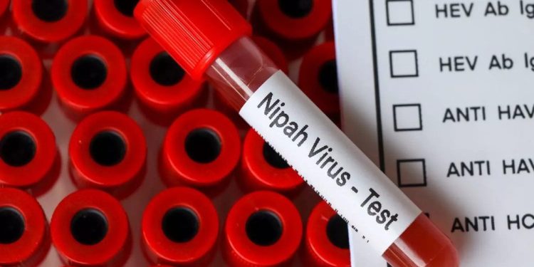 പെരിന്തൽമണ്ണയിലെ 15കാരിക്ക് നിപ അല്ലെന്ന് സ്ഥിരീകരണം