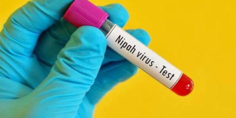 നിപ രോഗബാധയെന്ന സംശയത്തിൻ്റെ അടിസ്ഥാനത്തിൽ 15 വയസുകാരി ചികിത്സയിൽ
