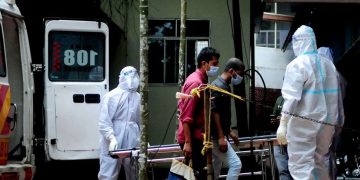 പാലക്കാട് നിപ ബാധിച്ച് മരിച്ച ആൾ പൊതുഗതാഗതം ഉപയോഗിച്ചിട്ടില്ലെന്ന് ജില്ലാ കലക്ടർ