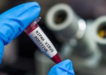 പാലക്കാട് നിപ സ്ഥിരീകരിച്ച 32കാരന് വിശദമായ പരിശോധനയിൽ നിപ നെഗറ്റീവ്