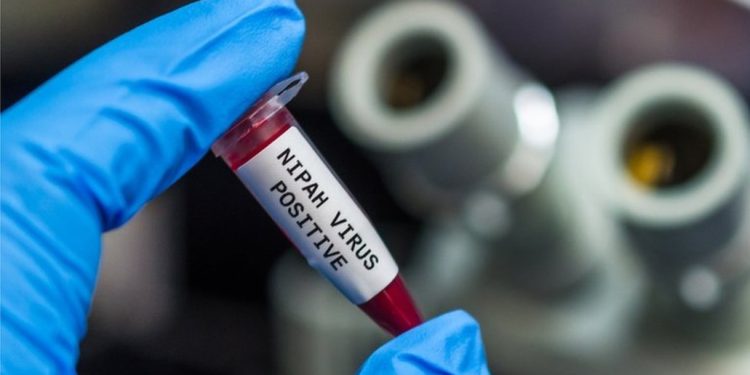 പാലക്കാട് നിപ സ്ഥിരീകരിച്ച 32കാരന് വിശദമായ പരിശോധനയിൽ നിപ നെഗറ്റീവ്