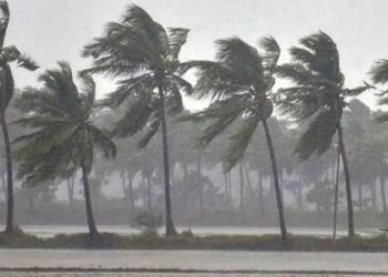 സംസ്ഥാനത്ത് കനത്ത മഴയില്‍ വ്യാപക നാശനഷ്ടങ്ങള്‍