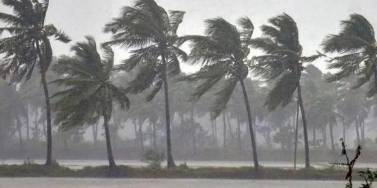 സംസ്ഥാനത്ത് കനത്ത മഴയില് വ്യാപക നാശനഷ്ടങ്ങള്