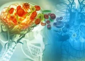 സംസ്ഥാനത്ത് ഒരാള്ക്ക് കൂടി അമീബിക് മസ്തിഷ്ക ജ്വരം സ്ഥിരീകരിച്ചു