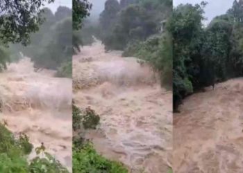 മുണ്ടക്കൈ-ചൂരൽമല ദുരന്തം ; വായ്പ എഴുതി തള്ളുന്നതിൽ അന്തിമതീരുമാനം എടുത്തിട്ടില്ലെന്ന് കേന്ദ്രസർക്കാർ ഹൈക്കോടതിയിൽ