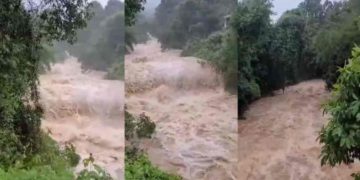 മുണ്ടക്കൈ-ചൂരൽമല ദുരന്തം ; വായ്പ എഴുതി തള്ളുന്നതിൽ അന്തിമതീരുമാനം എടുത്തിട്ടില്ലെന്ന് കേന്ദ്രസർക്കാർ ഹൈക്കോടതിയിൽ