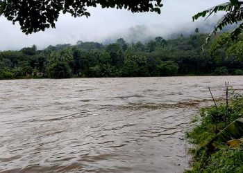 ജലനിരപ്പ് ഉയരുന്നതിനാൽ മൂവാറ്റുപുഴ, അച്ചൻകോവിലാറുകളിൽ മഞ്ഞ അലർട്ട് പ്രഖ്യാപിച്ചു