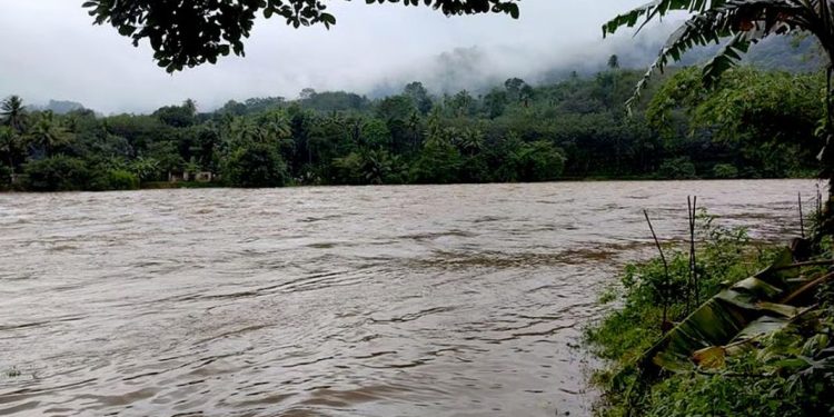 ജലനിരപ്പ് ഉയരുന്നതിനാൽ മൂവാറ്റുപുഴ, അച്ചൻകോവിലാറുകളിൽ മഞ്ഞ അലർട്ട് പ്രഖ്യാപിച്ചു