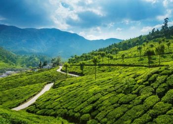 ഇടുക്കിയിലെ പട്ടയഭൂമികള്‍ എങ്ങനെ കയ്യേറ്റഭൂമികളായി മാറി ? : ഗൂഡനീക്കത്തിനു പിന്നില്‍ കാര്‍ബണ്‍ ഫണ്ട് തിന്നുന്ന വമ്പന്‍ സ്രാവുകള്‍