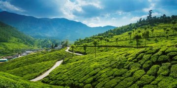 ഇടുക്കിയിലെ പട്ടയഭൂമികള്‍ എങ്ങനെ കയ്യേറ്റഭൂമികളായി മാറി ? : ഗൂഡനീക്കത്തിനു പിന്നില്‍ കാര്‍ബണ്‍ ഫണ്ട് തിന്നുന്ന വമ്പന്‍ സ്രാവുകള്‍