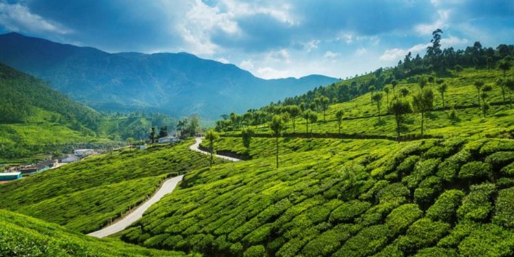 ഇടുക്കിയിലെ പട്ടയഭൂമികള് എങ്ങനെ കയ്യേറ്റഭൂമികളായി മാറി ? : ഗൂഡനീക്കത്തിനു പിന്നില് കാര്ബണ് ഫണ്ട് തിന്നുന്ന വമ്പന് സ്രാവുകള്