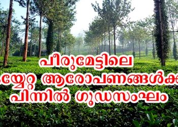 പീരുമേട്ടിലെ കയ്യേറ്റ ആരോപണങ്ങള്‍ക്ക് പിന്നില്‍ ഗൂഡസംഘം